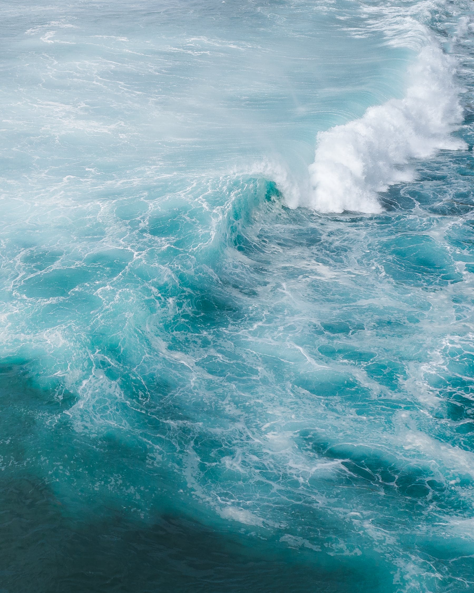 output/TidalCrime.jpeg